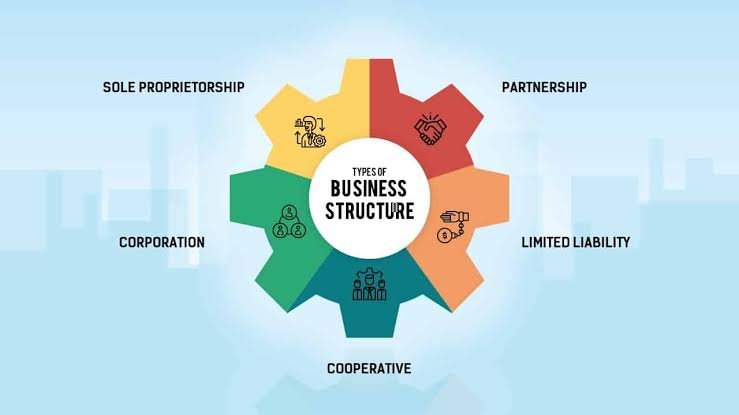 Types of Business Structure: Which One Fits You Best?