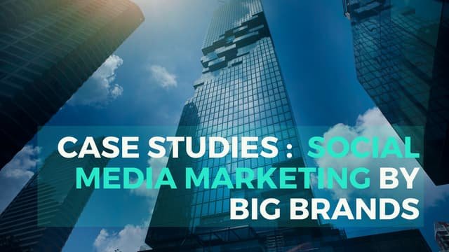 Social Media Marketing Case Study: A Small Brand’s Growth
